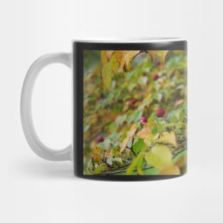 Red tree fruit Mug